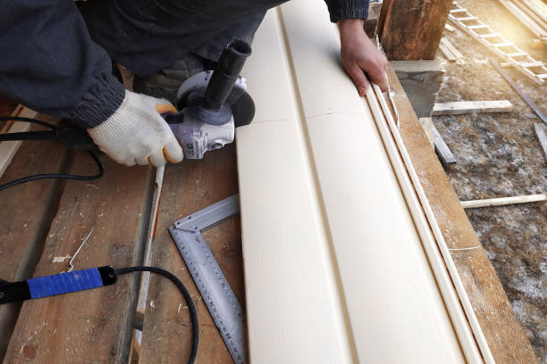 Best Aluminum Siding Installation  in Thonotosassa, FL