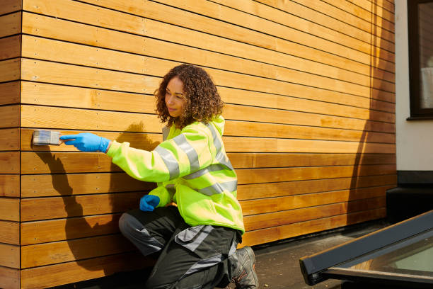 Best Storm Damage Siding Repair  in Thonotosassa, FL