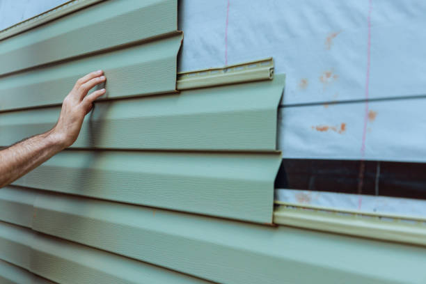 Best Vinyl Siding Installation  in Thonotosassa, FL